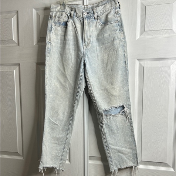 American Eagle Outfitters Denim - American Eagle Outfitters Light Blue Mom Jeans 8 SHORT